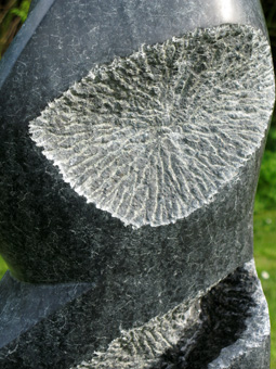 Detail Traces