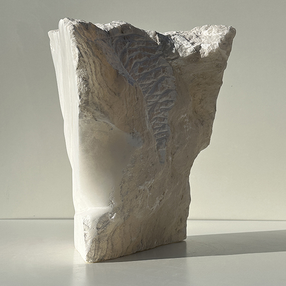Folds in time