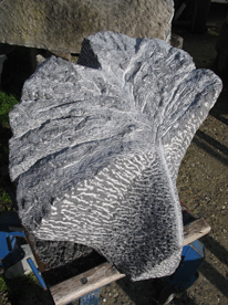 Ginkgo