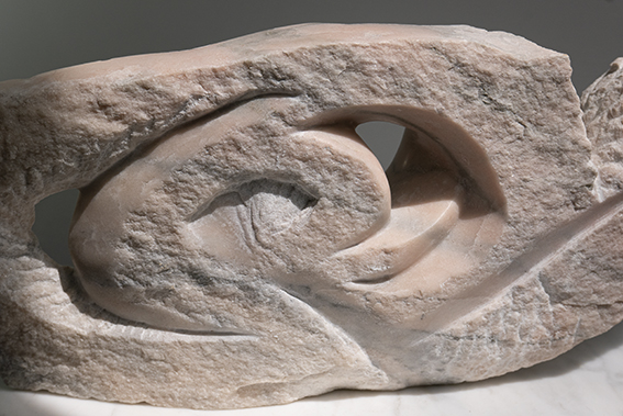 Vruchtdrager detail